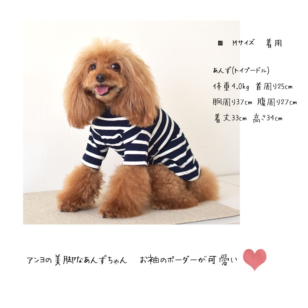 (�߸˽�ʬSALE�ΰ����ʸ��Բ�)���ԡ��� �ܡ����� snowdrop ���ꥸ�ʥ� ̾���� �ɽ����󥰥��꡼�� ���ȥ饤�ץ��å� Ĺµ �� ���λ� �ɥå� �� ���� �椦�ѥ��å��б�