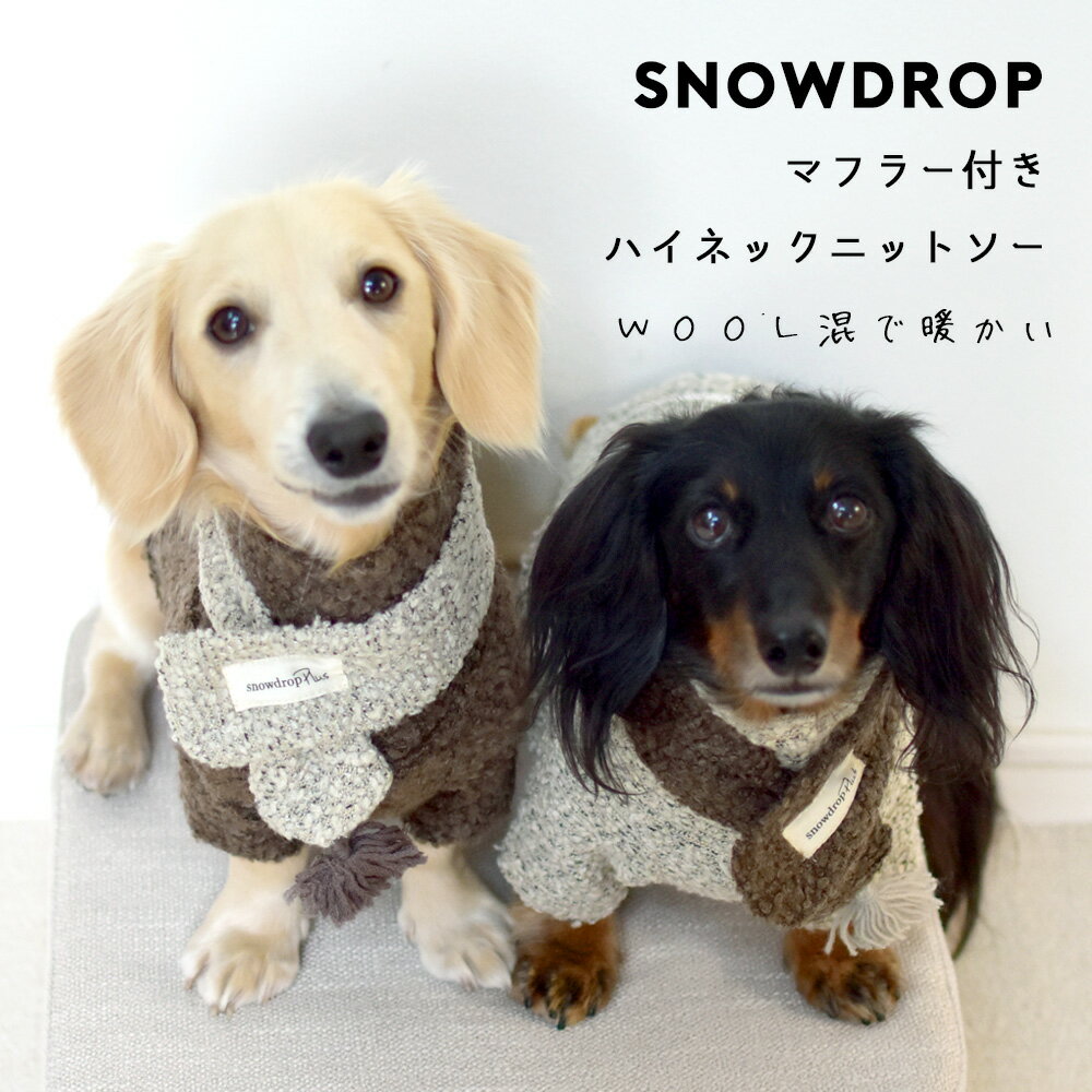 【SALE商品の為返品交換不可】ダックスサイズ マフラー付きハイネックニット あったか 犬 ドッグ 服　犬服　 小型犬 中型犬 犬用品　DOG dog ペット服 犬の服 ペット petto ペット用品 ゆうパケット対応のサムネイル