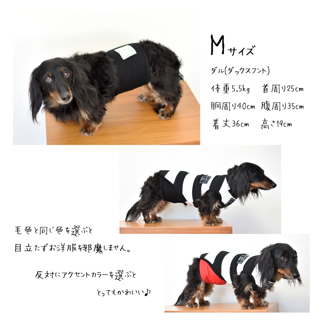 �ޥʡ��٥�� �ޥʡ������� �ȥ������� �ޥʡ��Х�� �ɥå������� �ޡ������ɻ� ���ȥ�å� �ΤӤΤ� snowdrop ��� ���� �椦�ѥ��å��б�