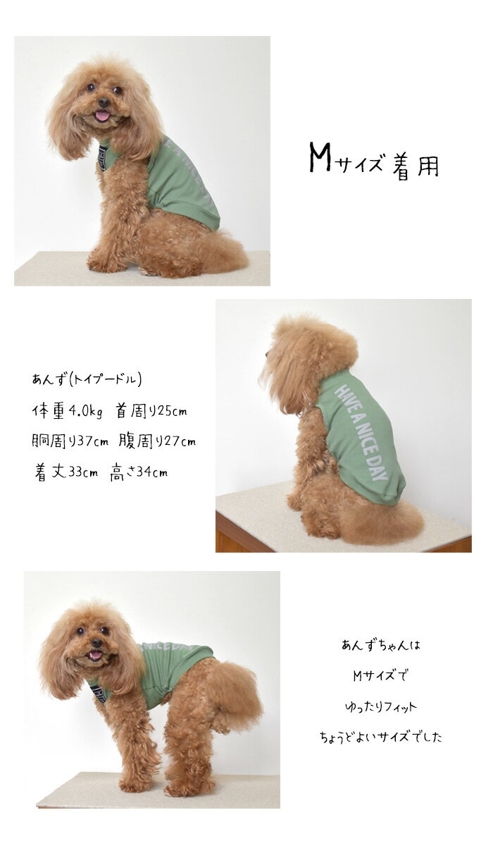サンプル画像3
