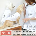 (在庫処分セールの為返品交換不可)オーナーとペットお揃いホワイトロゴタンクトップ お揃い ロゴタンクトップ ゆうパケット対応