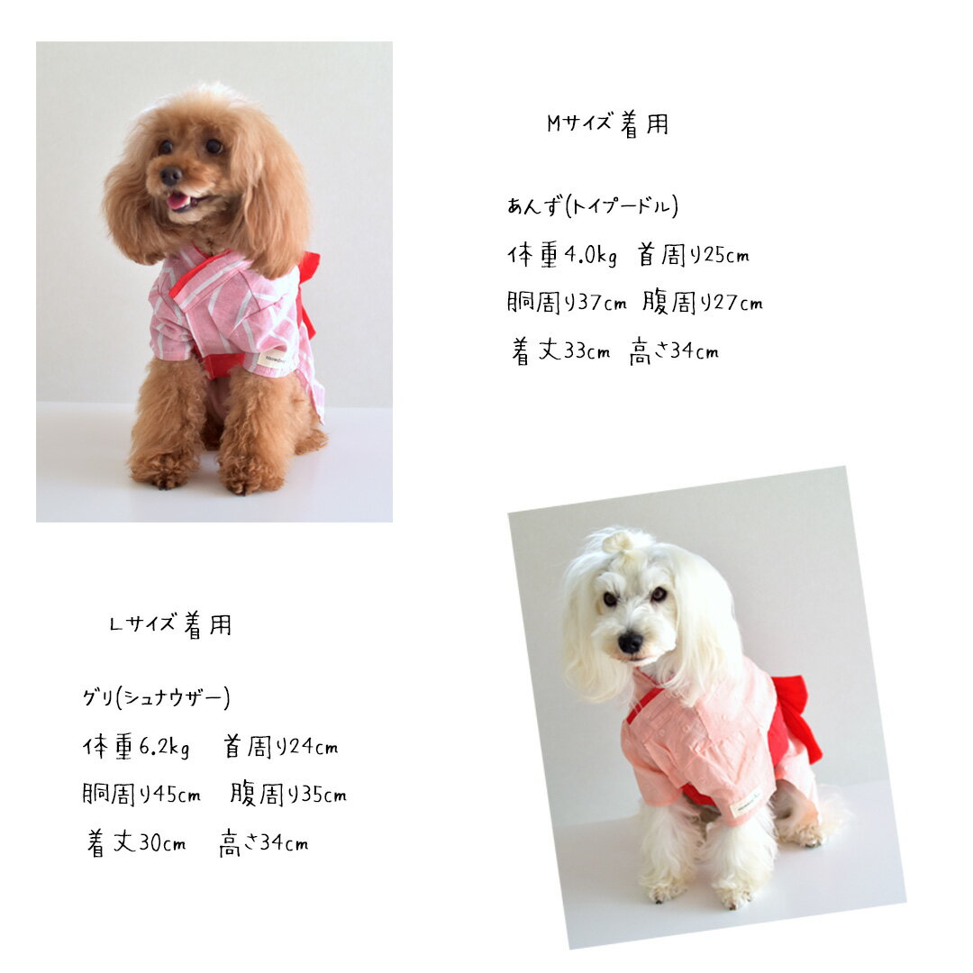 �ں߸˽�ʬ������ΰ����ʸ��Բġۥ졼����ܥ��դ���ᡡ�ڥå� �� ǭ ��� �� ���� �椫�� �ղ� ���� ������� ���襤�� ��ʪ ������ snowdrop �椦�ѥ��å��б�