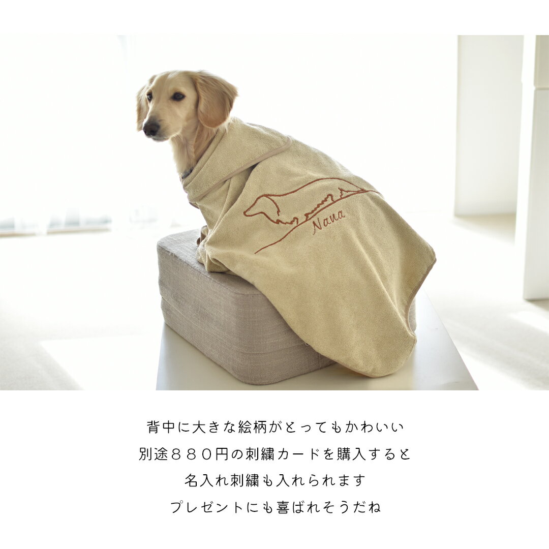 �ɽ��ǥ����� �ա��ɥ����� ̾���� �ɽ� ���� �ڥå��ѥ����롡�� �ޥ������ե����С� �ۿ�®�� �դ�դ� �ݥ���� �Х������� ���ꥸ�ʥ롡1���Τߤ椦�ѥ��å��б�