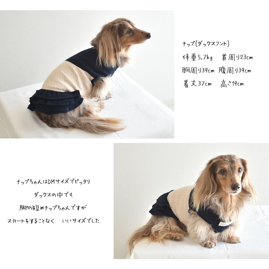 (�߸˽�ʬSALE�ΰ����ʸ��Բ�)���å����������������֥��ڤ��ؤ���̾���� �ɽ� ���ԡ��� �ΤӤΤӡ��夻�䤹����snowdrop �ɥå� �� dog �� ������ �椦�ѥ��å��б�