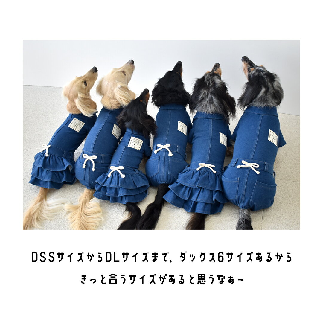 (��������6��5��/ͽ�󳫻�5�����)���դ��ǥ˥४���륤���� ̾���� �ɽ� ���å��������� ����ѡ��� ���С������롡�ΤӤΤӥ��ȥ�å��ǥ˥� �Ĥʤ� ���� ������ DOG snowdrop ������ �椦�ѥ��å��б�