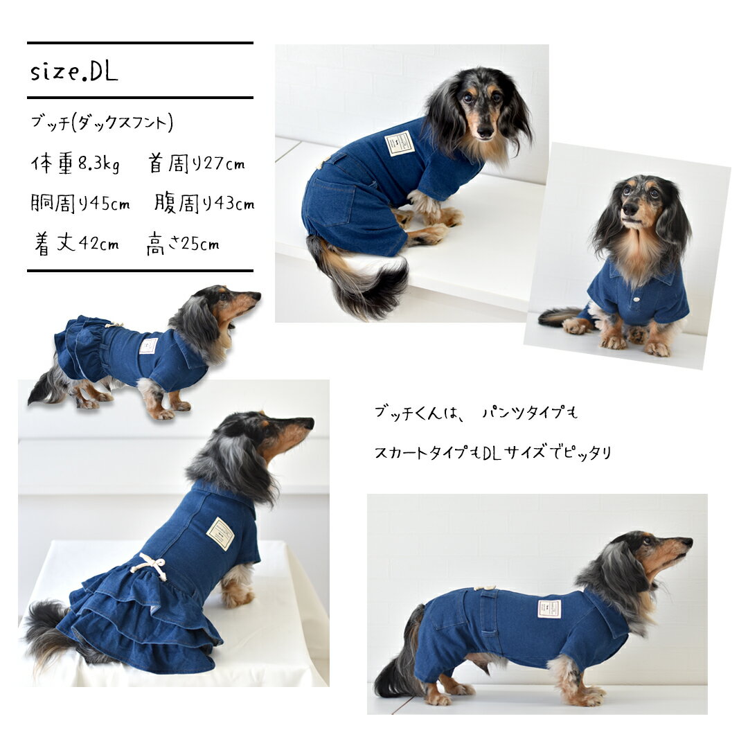 (一部予約商品発送日6/5)襟付きデニムオールインワン 名入れ 刺繍 ダックスサイズ ...