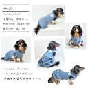 New！デニムオールインワン　名入れ　刺繍　ダックスサイズ　のびのびストレッチデニム ロンパース　カバーオール　つなぎ 犬服　犬服　犬用品　DOG dog ペット服 犬の服 ゆうパケット対応 3