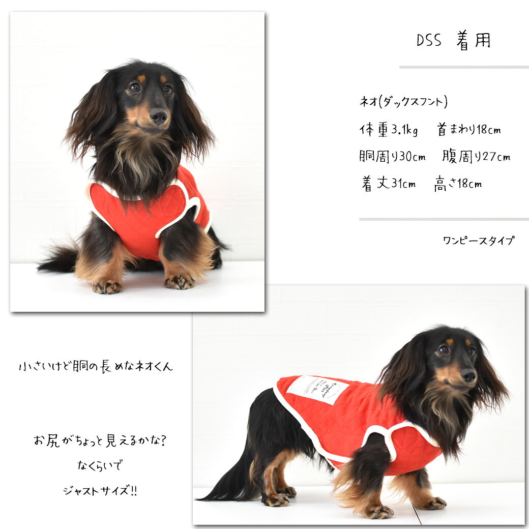 (在庫処分セールの為返品交換不可)ダックスサイズ　キルティングベスト　名入れ　刺繍　介護　着せやすい　介護服　シニア　犬　DOG　ドッグ　ペット服　マジックテープ　ゆうパケット対応 snowdrop-10005519 snowdrop サンプル画像2
