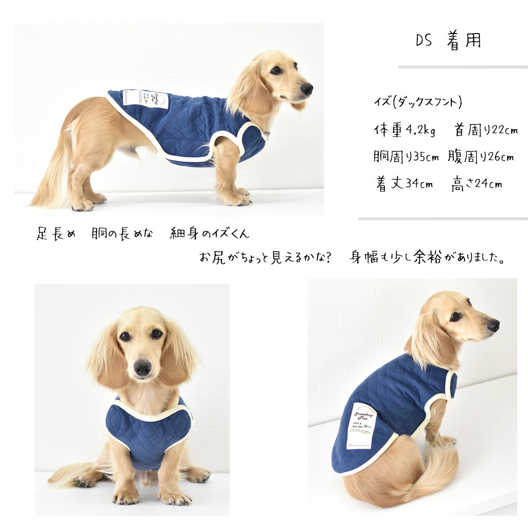 (在庫処分セールの為返品交換不可)ダックスサイズ　キルティングベスト　名入れ　刺繍　介護　着せやすい　介護服　シニア　犬　DOG　ドッグ　ペット服　マジックテープ　ゆうパケット対応 snowdrop-10005519 snowdrop サンプル画像3