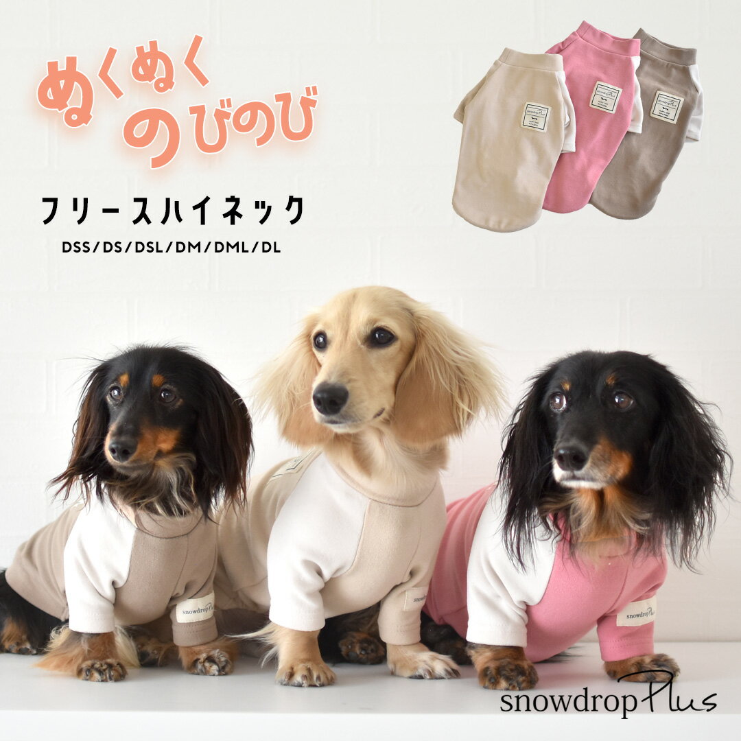 【GEWALK　ジウォーク】グラフィックTシャツロゴ【XXL】犬 いぬ イヌ DOG 服 アウトドア