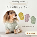 ダックスフレンチTシャツ ダックス 名入れ 刺繍 犬 服 着せやすい のびのび 犬 ストレッチ カラーTシャツ ドックウエア ゆうパケット可