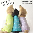 メッシュカバーオール ダックスサイズ 水着 ラッシュガード snowdrop メッシュ ロンパース オールインワン ストレッチ のびのび 犬 夏服 犬服 ゆうパケット対応