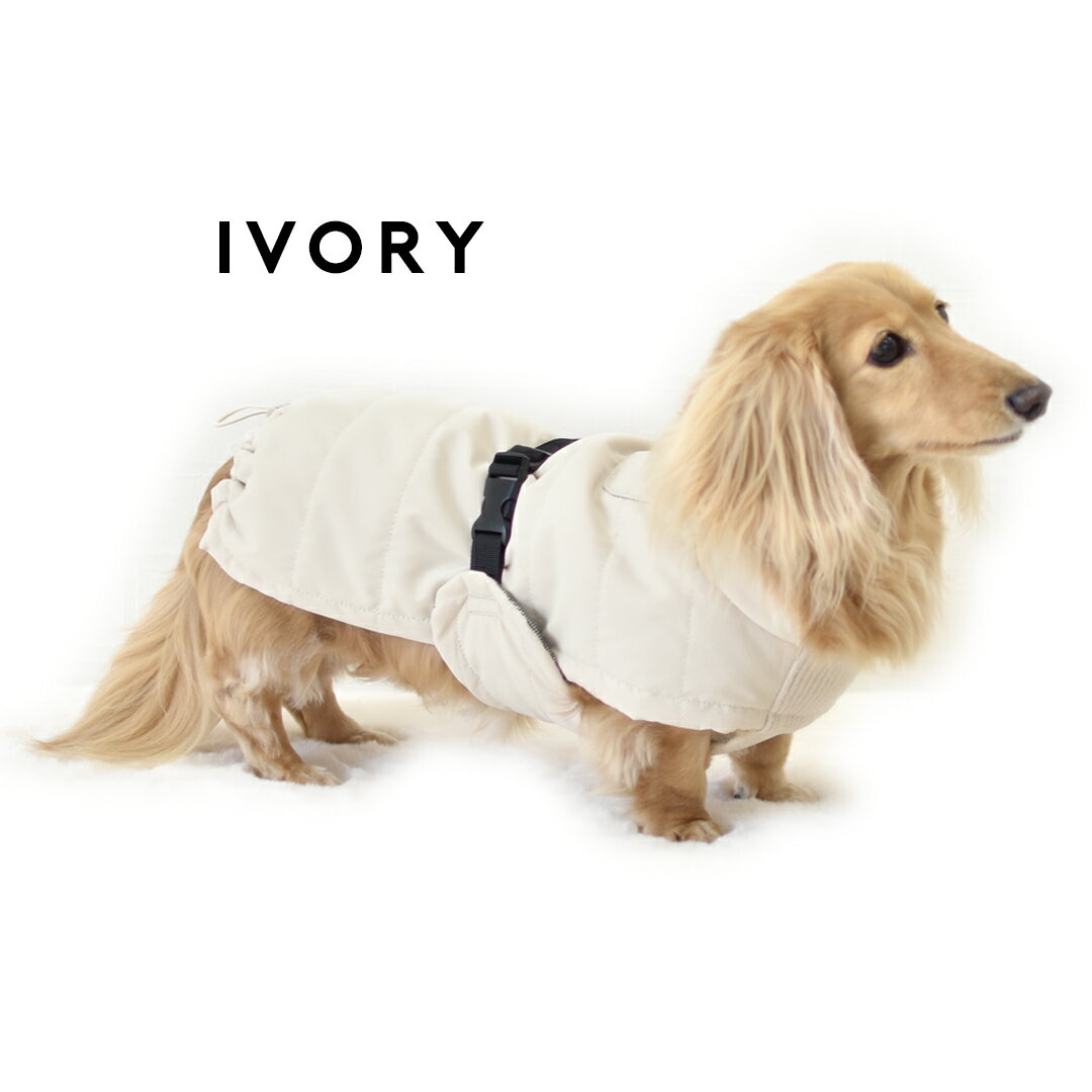 楽天市場】ダックス（ブルゾン・ジャンパー｜ドッグウェア）：犬用品