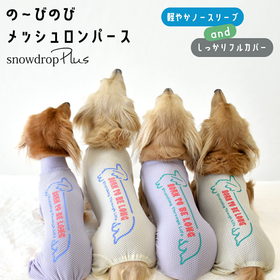 ダックスメッシュカバーオール ダックスサイズ 水着 ラッシュガード snowdrop メッ...