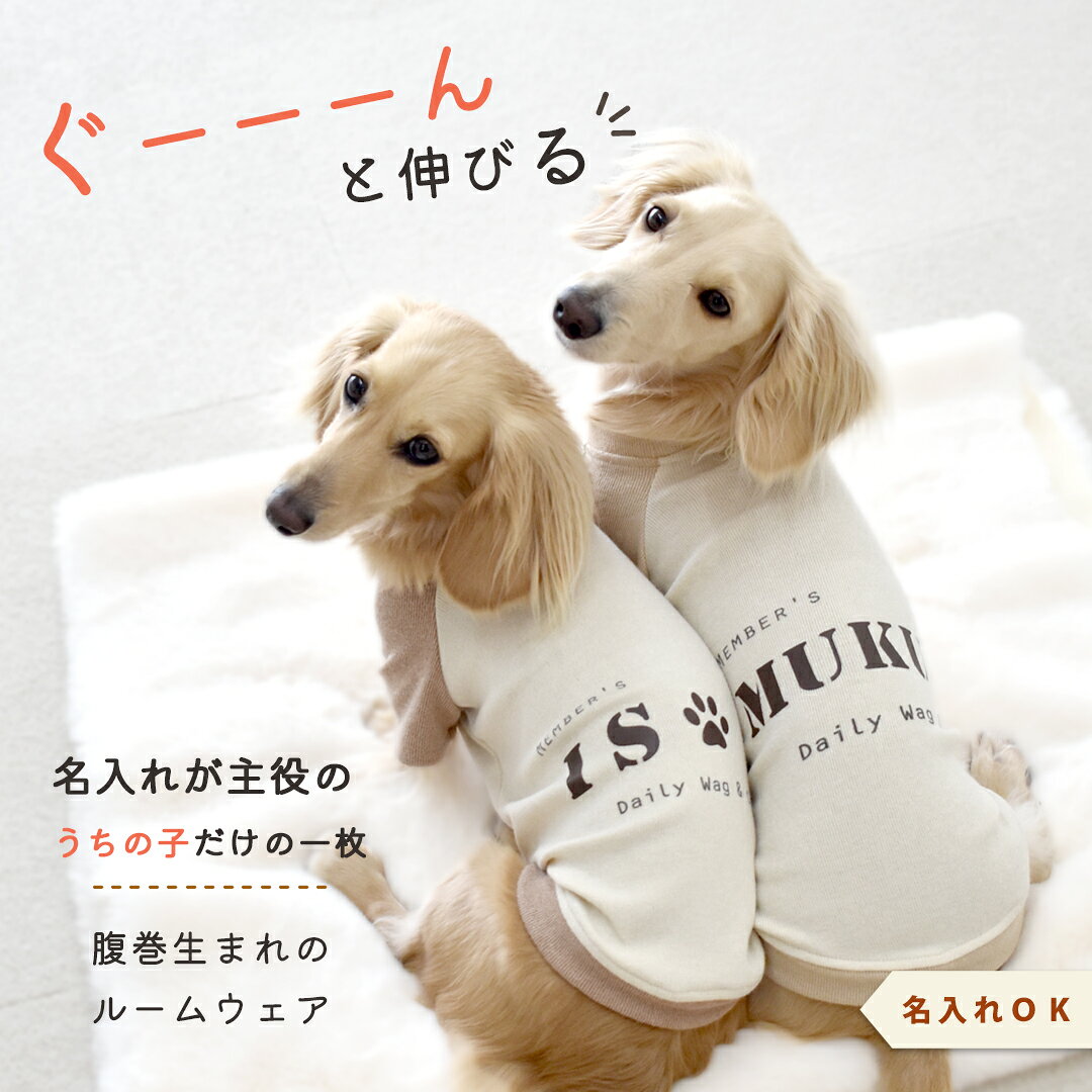 (8月17日12時迄早割10％OFF)シンプル配色フレンチラグランTシャツ 名入れ プリント 柔らか ロゴ のびのび 犬 犬服 ストレッチ Tシャツ ドックウエア ゆうパケット可