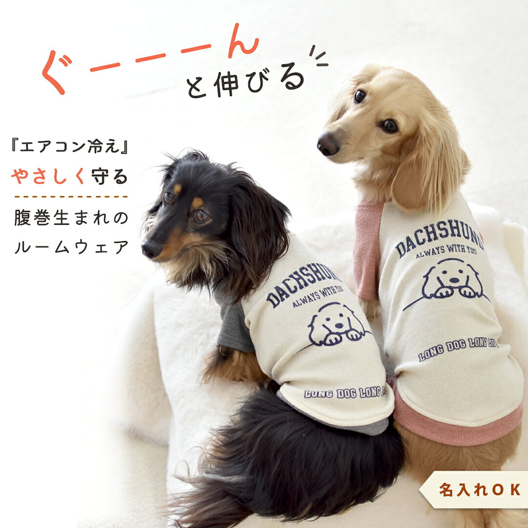 (8月17日12時迄早割10％OFF)ダックス配色フレンチラグランTシャツ 名入れ プリント 柔らか ロゴ のびのび 犬 犬服 ストレッチ Tシャツ ドックウエア ゆうパケット可
