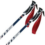 SWIX スウィックス スキー ポール SLストック 2023 ワールドカッププロ SLカーボン / AC105-00 22-23 NEWモデル 送料無料