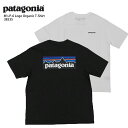 PATAGONIA パタゴニア Tシャツ ＜2022＞ M's P-6 Logo Organic T-Shirt / メンズ P-6ロゴ オーガニック Tシャツ / 38535