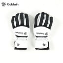 GOLDWIN ゴールドウイン スキーグローブ メンズ ＜2023＞ G81300P / LEATHER RACING GLOVES