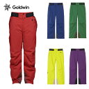 スキーウェア スキーパンツ パンツ ゴールドウィン Goldwin メンズ<2024>G-Solid Color Regular Pants / G33356