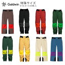 スキーウェア スキーパンツ パンツ ゴールドウィン Goldwin メンズ<2024>2-tone Color Wide Pants / G33355A【特殊サ...