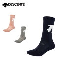 DESCENTE デサント スキー ソックス キッズ ジュニア<2025>DW4FSO60J / JUNIOR SOCKS