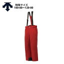 デサント スキーウェア スキーパンツ パンツ DESCENTE メンズ レディース <2023>DWMUJD74E / LAXING INSULATED PAN...