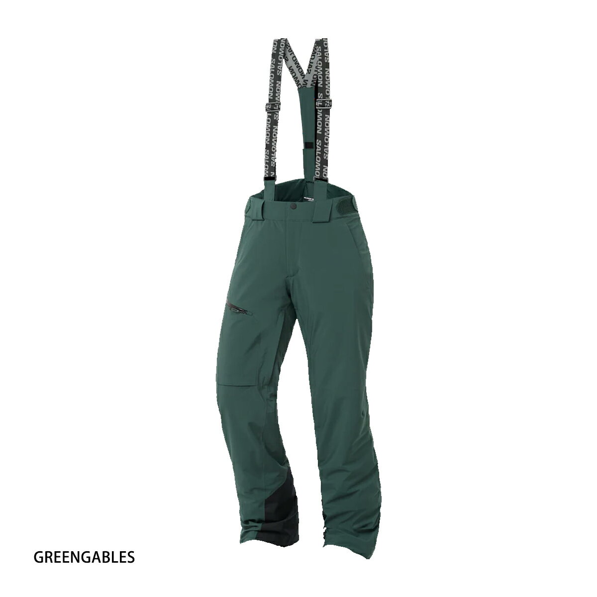 SALOMON サロモン スキーウェア パンツ ビブ レディース＜2026＞BRILLIANT PANT W...