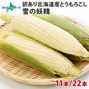 北海道産 とうもろこし 11本/22本/ 雪の妖精 ホワイトコーン 生食 トウモロコシ 白い とうもろこし 北海道 甘い スイートコーン 産地直送 とうきび お中元 ギフト 暑中見舞い バーベキュー 食材 送料無料◆出荷予定：8月上旬-9月中旬