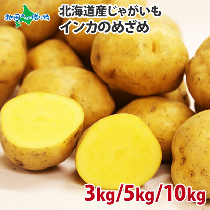 ̳ƻ 㥬 󥫤Τᤶ S-L3kg/5kg/10kg ̵ 㤬 ̳ƻ 㤬 ̳ƻ ľ  ľ  󥫤ܳФ 㥬 ̳ƻ   potato вͽꡧ10-11ܡפ򸫤