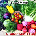 ヨーロッパ野菜 詰め合わせ スタンダードセット(6-8品目)/プレミアムセット(8-10品目)/デラックスセット(13-15品目)/ 新鮮 野菜 詰め合わせ セ...