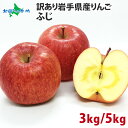 岩手県産 訳あり ふじ りんご (9-10玉 計3kg前後/18-20玉 計5kg前後) 送料無料 林檎 リンゴ りんご 訳あり ワケあり 果物 家庭用 自家用 産地直送 産直 旬の果物 フルーツ お取り寄せ グルメ