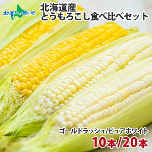 北海道産 トウモロコシ 食べ比べセット（ゴールドラッシュ／ピュアホワイト） 10本/20本 黄色 白い とうもろこし 北海道 とうもろこし 甘い ホワイトコーン 生食 スイートコーン とうきび トウキビ お中元 暑中見舞い バーベキュー 食材 送料無料◆出荷予定：7月下旬-9月上旬