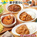 弟子屈カレーセット 4食/10食/20食 (北国チキンレッグスープカレー/ビーフ/ポーク/牛スジ)業務用 ご当地 カレー レトルトカレー 常温保存 カレー 北海道 レトルト 食べ比べ 詰め合わせ スープカレー チキンカレー 牛すじカレー お取り寄せグルメ soup curry 送料無料