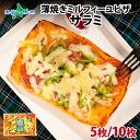 薄焼き ミルフィーユピザ サラミ(5枚/10枚)ピザ 薄焼き ピッツァ Pizza ぴざ ミルフィーユ 生地 チーズ ピーマン 人気 お取り寄せ グルメ ギフト...