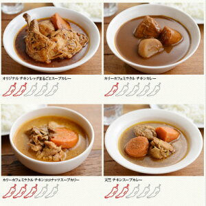 スープカレー北海道カレー福袋4食セット(北国オリジナルスープカレー/南家/天竺+シークレット)訳あり業務用/カレー/スープカレー/お取り寄せ/訳あり送料無料