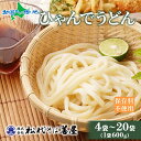 ひゃんで うどん 600g (4袋 / 8袋 / 12袋/ 20袋) 饂飩 ウドン 干しうどん ざるうどん かけうどん ファミリー 麺 乾めん 自家用 御中元 お中元 ギフト お歳暮 お取り寄せ 備蓄 保存 便利 ギフト 越後 魚沼 常温 松代そば善屋 新潟県 十日町市