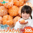 冷凍みかん 500g 訳アリ 皮剥き 愛媛 西宇和産 業務用 冷凍みかん 愛媛 国産 冷凍フルーツ 冷凍ミカン デザート シャーベット 果物 お得 小分け 便利 送料無料 人気 専門店 デザート ご当地 お取り寄せ 食べ比べ 贈り物 ギフト グルメ