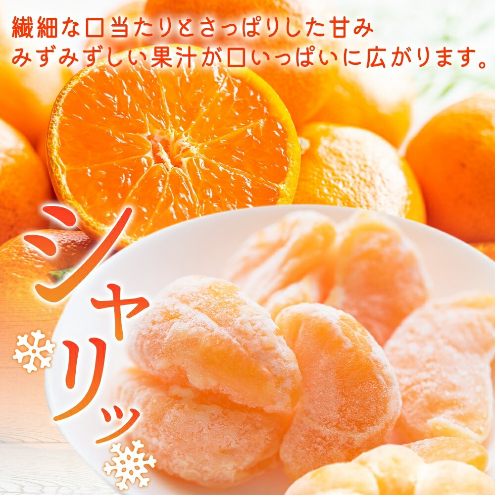 サンプル画像2