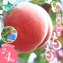 山梨県 笛吹市産 桃 2kg(4〜6玉)/4kg(8〜12玉) もも モモ 白桃 旬 産地直送 大玉 完熟 果物 お中元 フルーツ 桃 山梨 新鮮 人気 美味し...