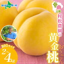 村松農園 黄金桃 2kg(4~6玉)/4kg(8~12玉) もも モモ 桃 黄桃 旬 産地直送 大玉 完熟 果物 フルーツ 桃 山梨 新鮮 人気 美味しい 贈答 ギフト 暑中見舞い 御中元 お中元 夏ギフト フルーツ ギフト 果物 村松農園 送料無料◆出荷予定:7月下旬-8月下旬