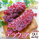 山形県産 デラウェア 約2kg ぶどう ブドウ 葡萄 旬 産地直送 果物 フルーツ デラウェア ぶどう 山梨 ブドウ 新鮮 人気 美味しい 贈答 ギフト 暑中見...