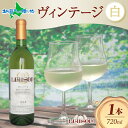 白ワイン Liaison リエゾン ヴィンテージ 720ml×1本 フルボトル やや甘口 甲州 遅摘み 日川中央葡萄酒 山梨県 笛吹市