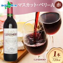 赤ワイン Liaisonリエゾン マスカット・ベリーA 720ml×1本 フルボトル 辛口 ミディアムボディ 日川中央葡萄酒 山梨県 笛吹市 ワイン 赤 御歳暮 お歳暮 ワイン ギフト 誕生日 プレゼント クリスマス ワイン