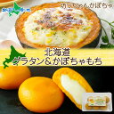 北海道 かぼちゃグラタン チーズinかぼちゃもち 各1個 セット 坊ちゃんかぼちゃ グラタン チーズ 芋もち いも 餅 芋餅 カボチャ 十勝 かぼちゃ 牛乳 濃...