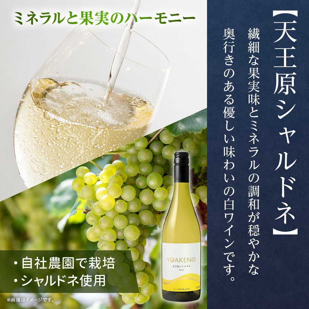 モンデ酒造 白ワイン飲み比べ 甲州 天王原シャルドネ 各1本 ワイン 酒 お酒 果実酒...