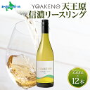 YOAKENO天王原信濃リースリング 750ml 12本セット モンデ酒造 ワイン シャルドネ 白ワイン 酒 果実酒 贈答 誕生日 御中元 夏ギフト お中元 ギ...