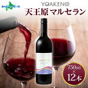 YOAKENO天王原マルセラン 12本セット 750ml モンデ酒造 赤ワイン 酒 お酒 果実酒 贈答 誕生日 御中元 お中元 父の日 ギフト ワイン お酒 プレゼント 晩酌 宅飲み 家飲み キャンプ BBQ バーベキュー パーティー 送料無料 北国からの贈り物