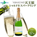 YOAKENO天王原シャルドネスパークリング 12本セット 720ml モンデ酒造 ワイン シャルドネ スパークリングワイン 酒 果実酒 誕生日 御中元 お中元 父の日ギフト お酒 父の日 ワイン 父の日 お酒 プレゼント BBQ バーベキュー パーティー 送料無料 北国からの贈り物