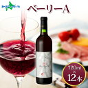 ベーリーA 720ml 12本セット モンデ酒造 赤 ワイン 酒 お酒 果実酒 贈り物 贈答 誕生日 御中元 お中元 父の日 ギフト ワイン お酒 プレゼント 晩酌 宅飲み 家飲み キャンプ BBQ バーベキュー パーティー 送料無料 北国からの贈り物